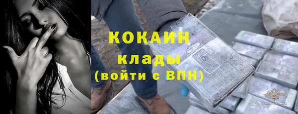 ГАЛЛЮЦИНОГЕННЫЕ ГРИБЫ Киреевск