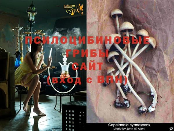 каннабис Киренск