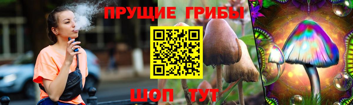 Галлюциногенные грибы мицелий  хочу   Курганинск  Вход с VPN 